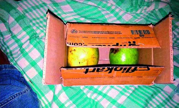 Flipkart sends mangoes
