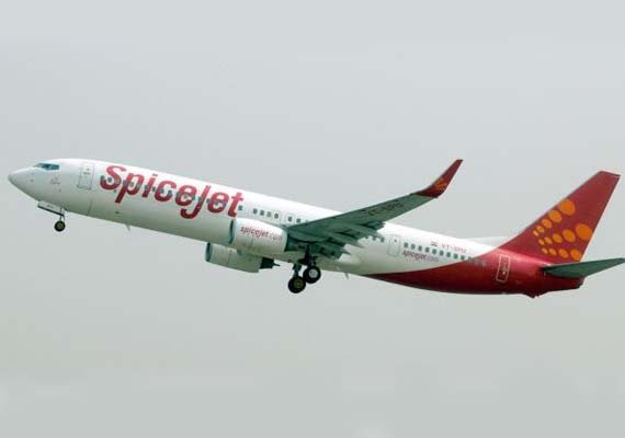 SpiceJet mulls laying off 1,000 employees