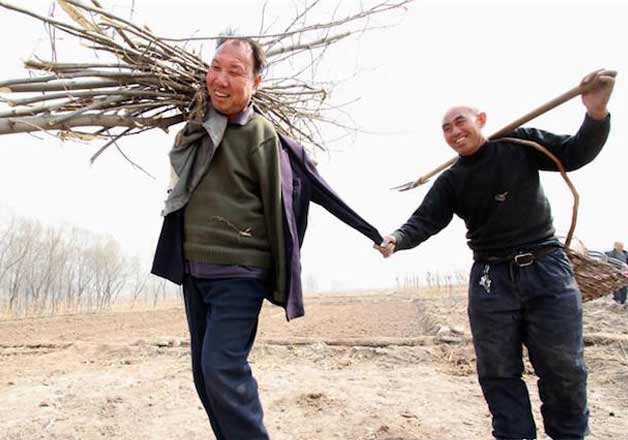 Chinese friends planting trees