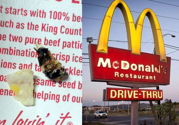 Cockroach found inside McDonalds hamburger