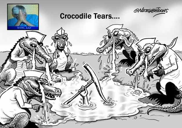 crocodile tears