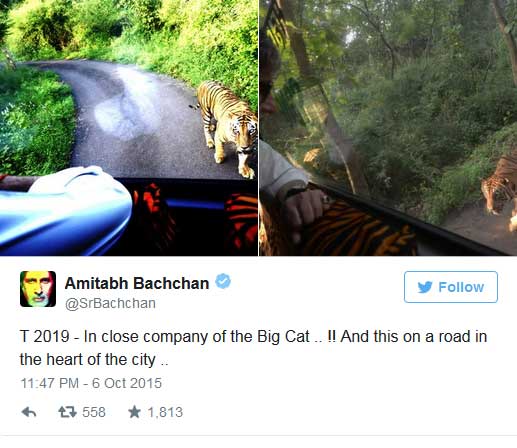 amitabh bachchan chased by tiger