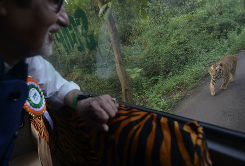 amitabh bachchan chased by tiger