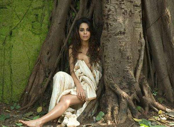 10 Hot Pictures Of Mallika Sherawat Indiatv News Masala News India Tv