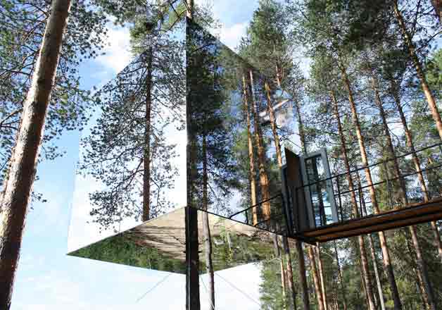 tree hotel