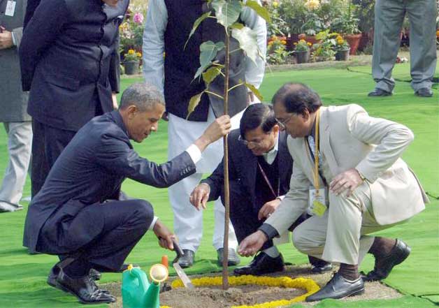 obama planting tree