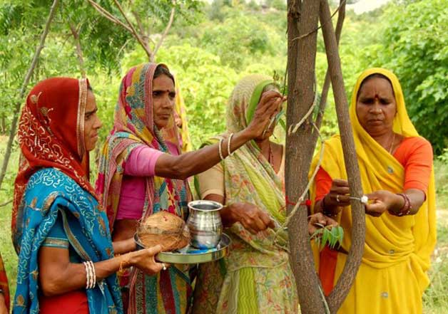 piplantri rajasthan village