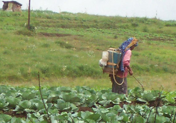 Meghalaya to formulate plan to help farmers