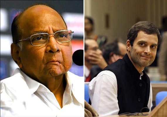 I can't work with Rahul Gandhi: Sharad Pawar