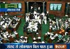Lok-Sabha-passe13982.jpg