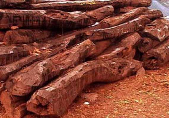 Image result for red-sandalwood smuggling